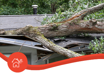 Storm Tossed Tree Impales a House Roof